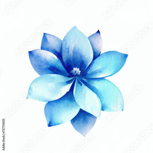 Watercolor of beautiful Flower on a white background