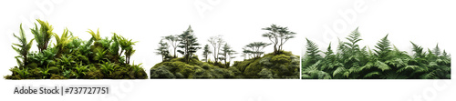 Minimalistic image of green lush New Zealand plants and trees clearly photographed on a transparent background, Comfortable great garden isolated at white background