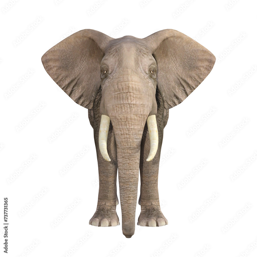 Fototapeta premium Elephant rendered in different poses and angles. 3D model, PNG.