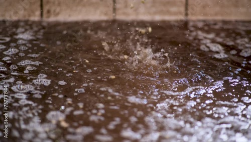 Wash coffee green bean after peeled coffee.
