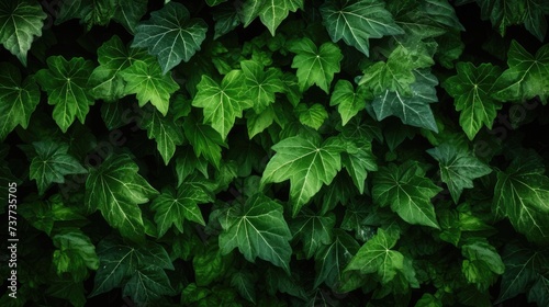 Lush green foliage texture, capturing nature's intricate patterns and vibrant hues, Ai Generated.