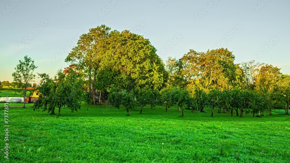 Timelapse of a sunrise in the countryside with trees casting shadows Timelapse of a sunrise in the countryside with trees casting shadows