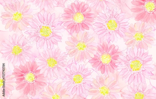 ピンク色のガーベラで埋め尽くされた春らしいイラスト。水彩イラストによる優しく可愛らしい雰囲気。