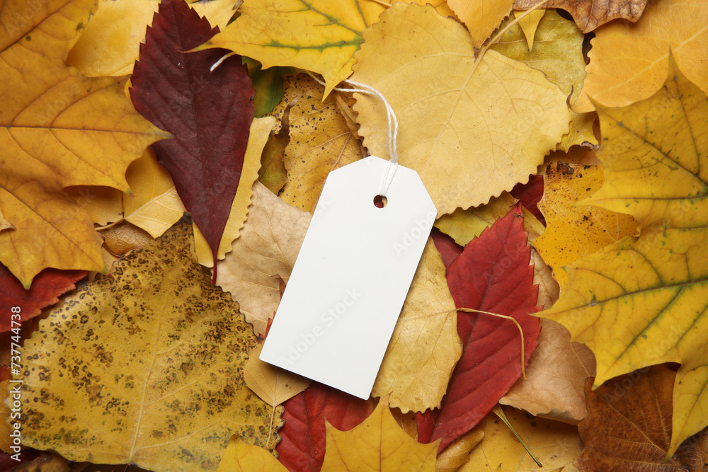 Price tag on fallen autumn leaves