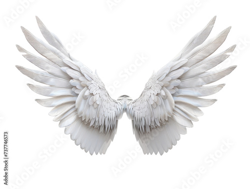 Flying wings isolated on transparent background