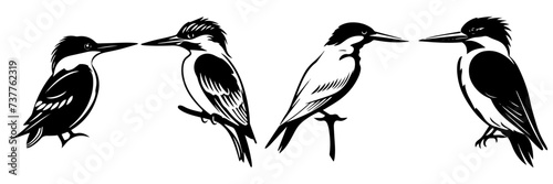 Hand drawn vector illustration of a sketch of bird