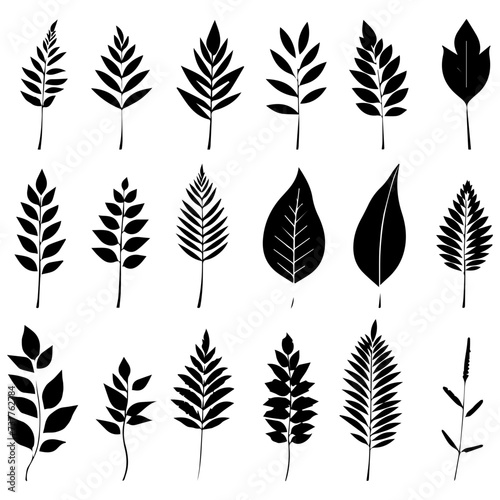 set of silhouettes of leaves