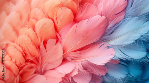Closeup of soft fluffy feathers with a mix of muted and bold colors.
