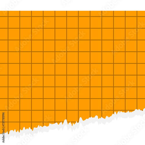 Torn Paper with Grid
