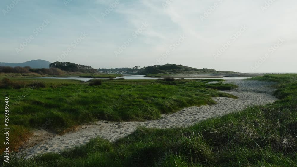 Serene coastal beach dunescape with grassy trails in Portugal