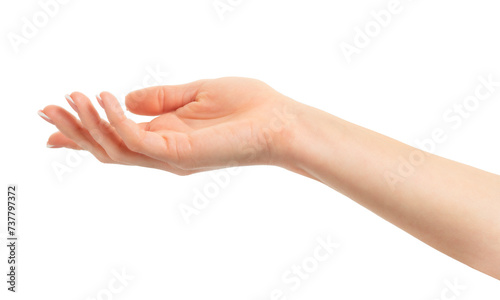 Female open empty hand isolated on white background