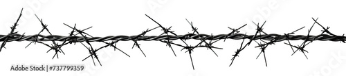 Barbed wire cut out photo