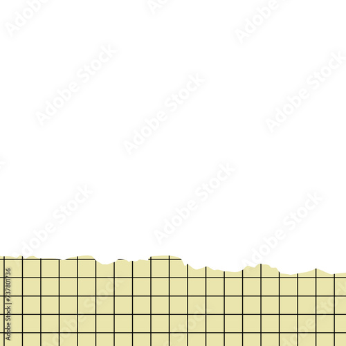 Torn Papper With Grid