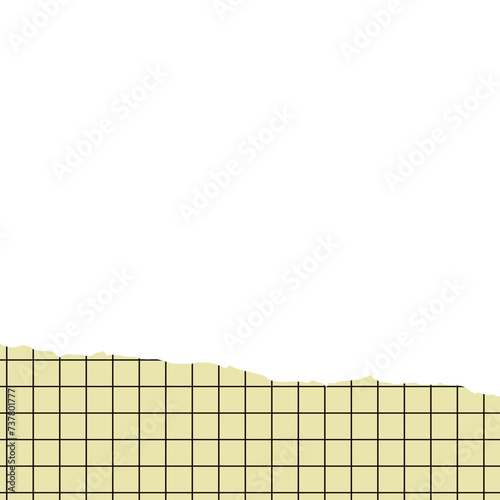 Torn Papper With Grid