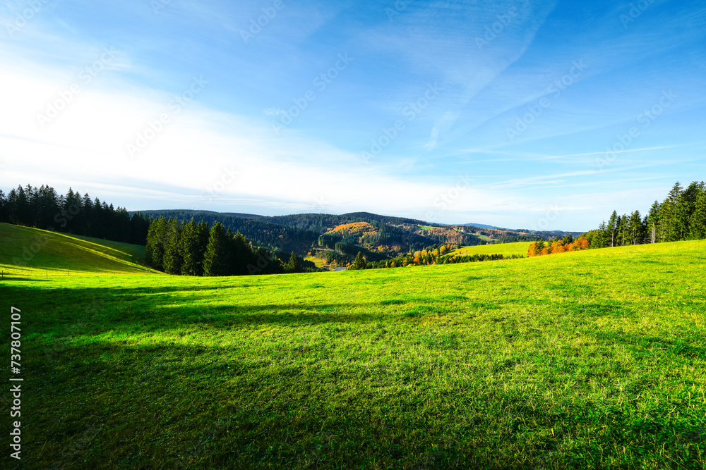 Obraz premium Autumnal landscape near Furtwangen in the Black Forest. Nature with forests and hills. 