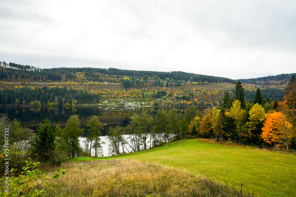 Autumn landscape in the Black Forest. Nature with forests and hills.
