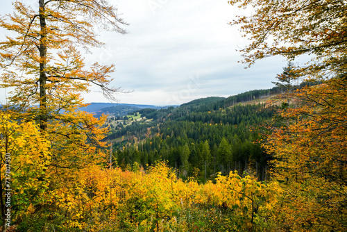 Autumn landscape in the Black Forest. Nature with forests and hills. 