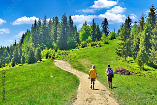 Fototapeta Naklejka Na Ścianę i Meble -  Two tourists walk along the hiking trail on a sunny summer day,  Gorce mountains, Poland