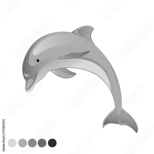 Dolphin 