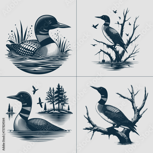 loon Bird vector File