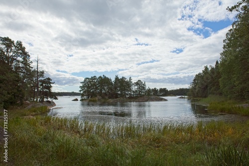 Reeds on seashore on the island of Linlo in cloudy autumn weather, Kirkkonummi, Finland.