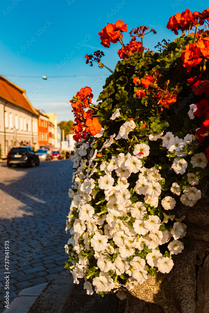 Summer view with flowers on a stone well at Landau, Isar, Bavaria, Germany