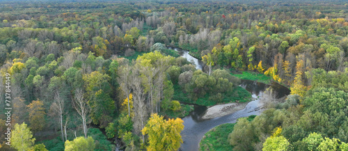Fototapeta Naklejka Na Ścianę i Meble -  River drone aerial delta floodplain autumn fall color meander inland video shot in sandy sand alluvium, benches forest and lowlands wetland swamp, quadcopter view flying fly flight show