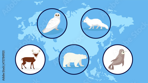 Set of polar animals, illustration vector