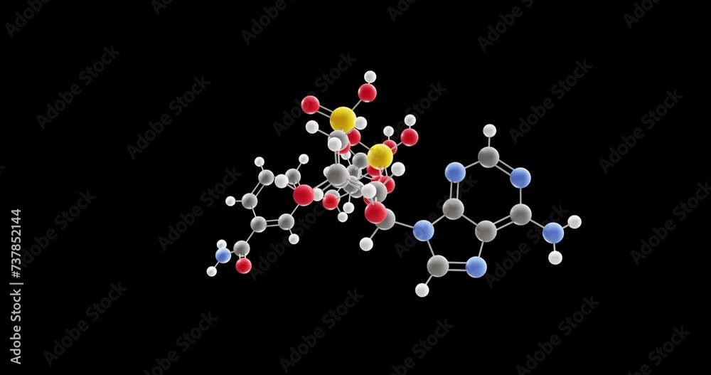 Nad+ molecule, rotating 3D model of oxidizing agent, looped video on a black background