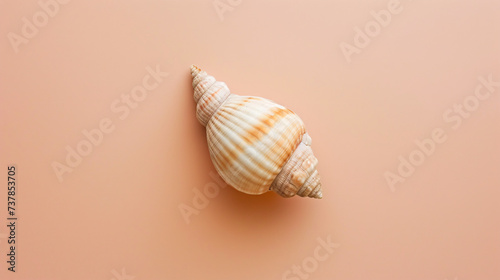 A single seashell, delicately placed against a colored background, captures the essence of the ocean photo