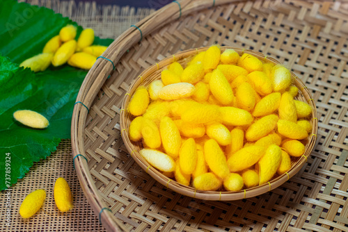 yellow silkworm cocoons shells, in the basket