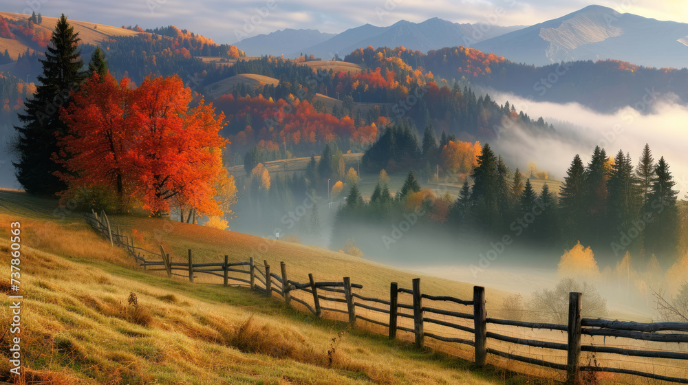 Foggy mountain landscape. Carpathian mountains, Ukraine. - obrazy, fototapety, plakaty 