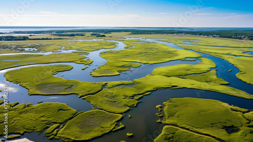 Aerial view of tidal marshland.