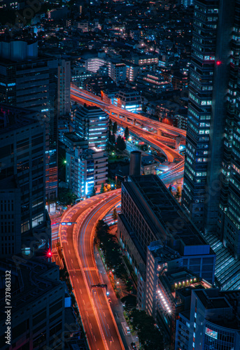 Canvas Print Viaducts passing through buildings in Tokyo