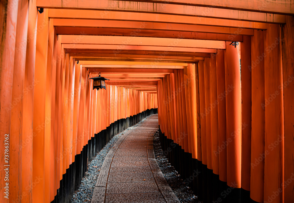 Φωτογραφία Fushimi Inari-taisha Gate(Fushimiinari-taisha) to heaven, Kyoto, Japan