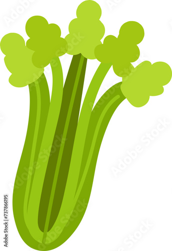 Fresh celery flat vector isolated on transparent background
