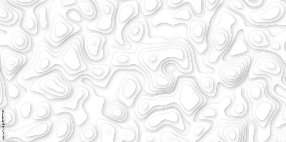 Abstract geometric layered curve line white background. 3d white papercut topography relief. Cover layout template. paper cut topography soft background banner texture. light liquid wave illustration.