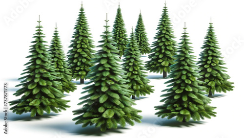 Holiday Season Green Christmas Trees Isolated Display