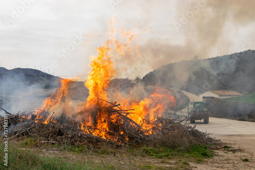 Fotografie Controlled burning of pruning remains in rural areas
