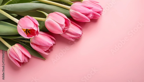 Beautiful composition spring flowers. Bouquet of pink tulips flowers on pastel pink background. Valentine's Day, Easter, Birthday, Happy Women's Day, Mother's Day. 