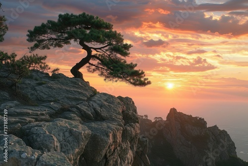 A tree standing proudly on a cliff's edge, overlooking expansive views of the sea and distant mountains.