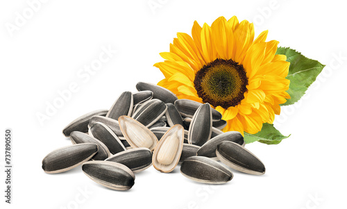 Sunflower seeds pile with two open seeds and flower in the corner on white background