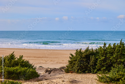 Sand dunes overgrown with bushes against the backdrop of a deserted ocean beach.