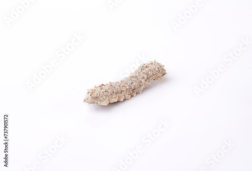 Wild caught dried sea cucumbers isolated in white background