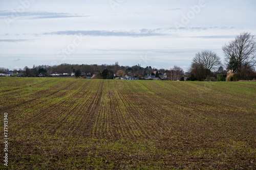 Fresch sown corn fields at the Flemish countryside around Leuven, Brabant, Belgium photo