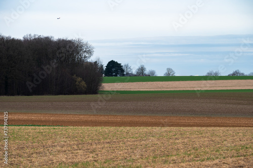 Harvested wheat fields and meadows at the Flemish countryside around Herent, Brabant, Belgium photo