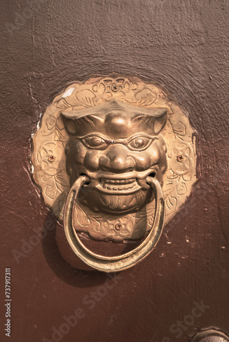 lion head door handle