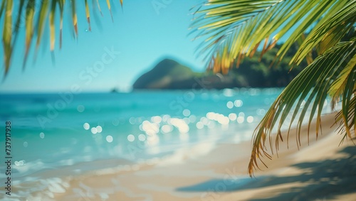 Close up of palm leaves with beautiful beach in background