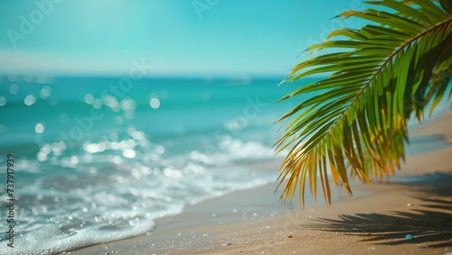 Close up of palm leaves with beautiful beach in background
