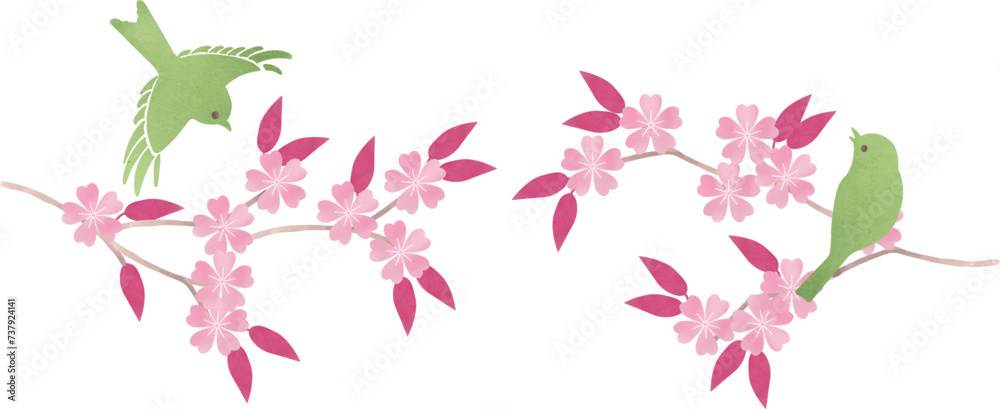 桜の枝にとまる鶯のイラスト